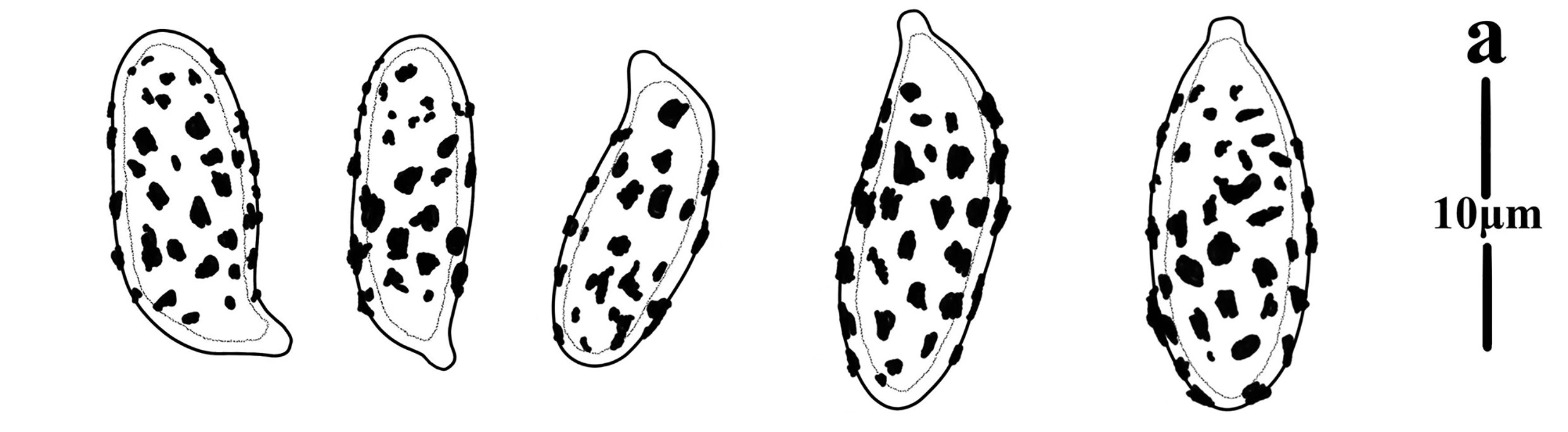 Figure 84